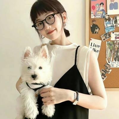 龙牌之谜